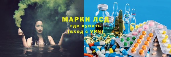 бошки Тавда