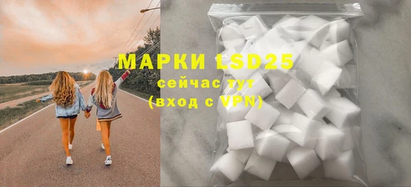 mdpv Тайга