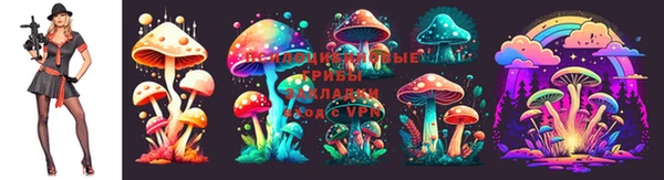 бошки Тавда