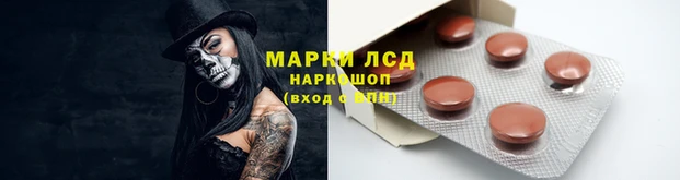 mdpv Тайга
