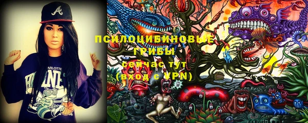 тгк Ступино