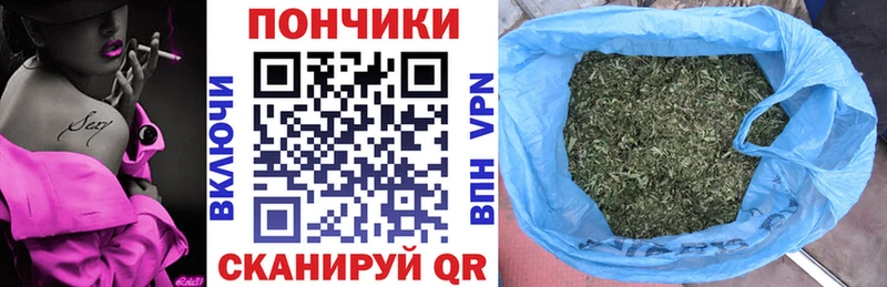 Купить закладки  Судак  Каннабис конопля 